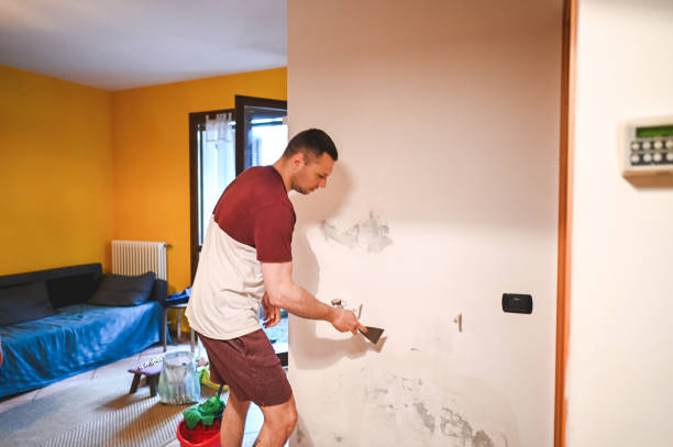 Best Commercial Mold Removal  in Bella Vista, AR